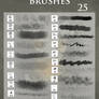 Airbrush and digital Paint brushes