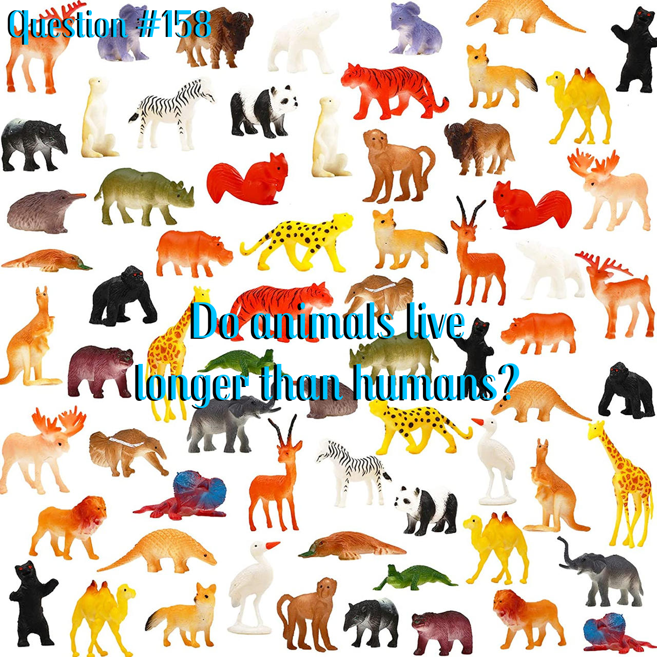 Question #158: Do animals live longer than humans? by GumballFan333 on  DeviantArt