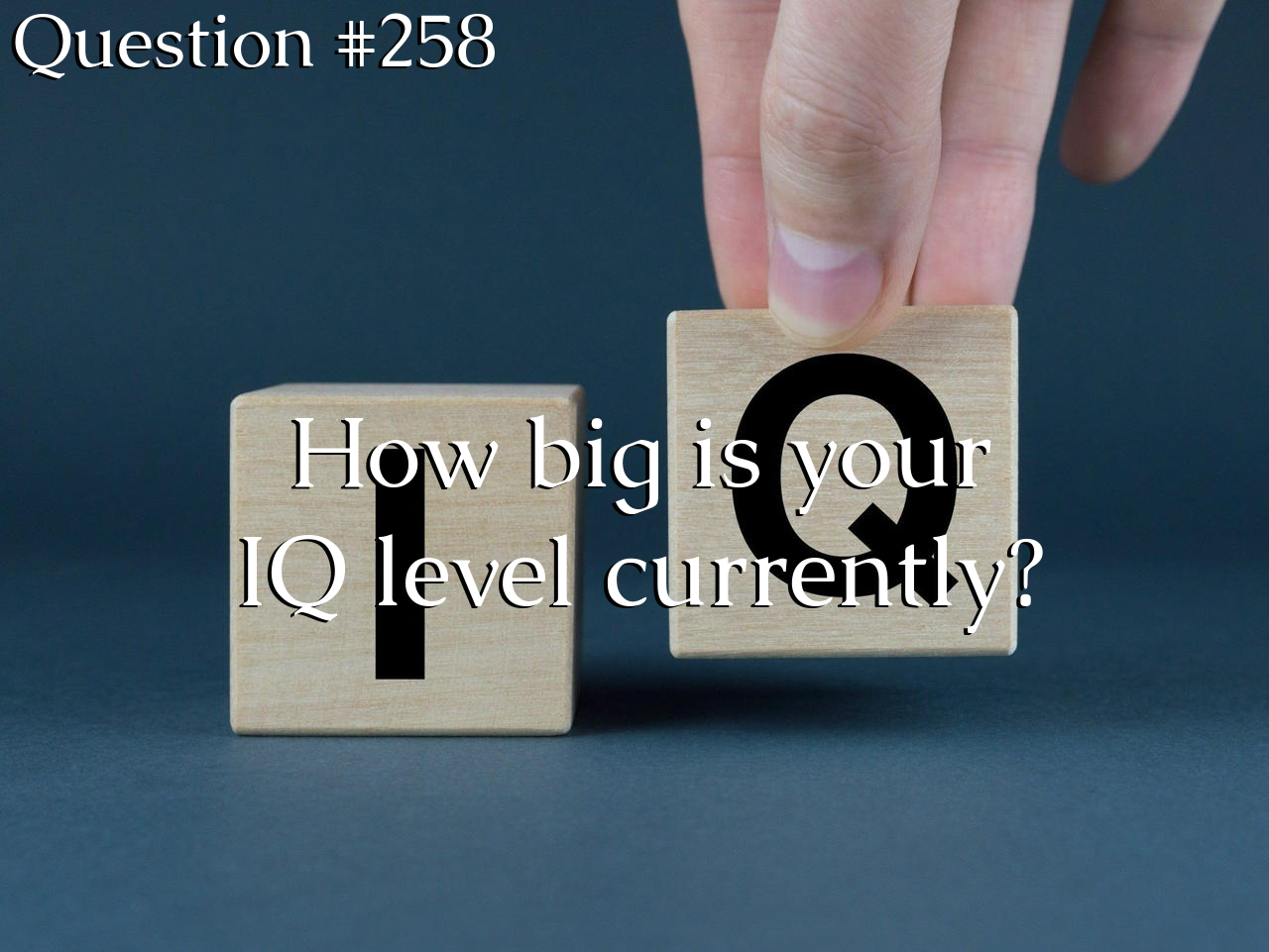 Question #258: How big is your IQ level currently? by GumballFan333 on ...