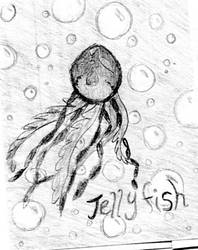 Jellyfish