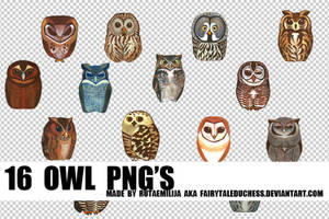 16 OWL PNG'S