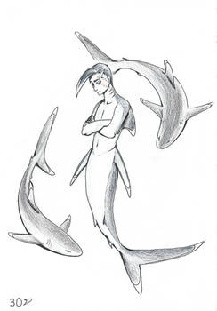 Silvertip Shark - Mermay 30