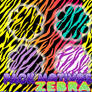 Patterns zebra