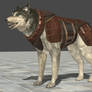 Armored Dog