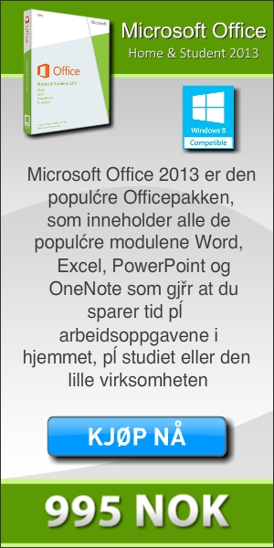 Microsoft Office 2013 Flash Banner 300x600