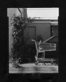 abandoned shopping cart