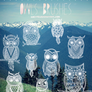Owls-Brushes {Abr Files}
