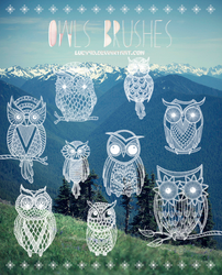 Owls-Brushes {Abr Files}