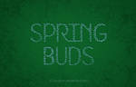 Font HKH Spring Buds - Regular and Italic Version by Poemhaiku