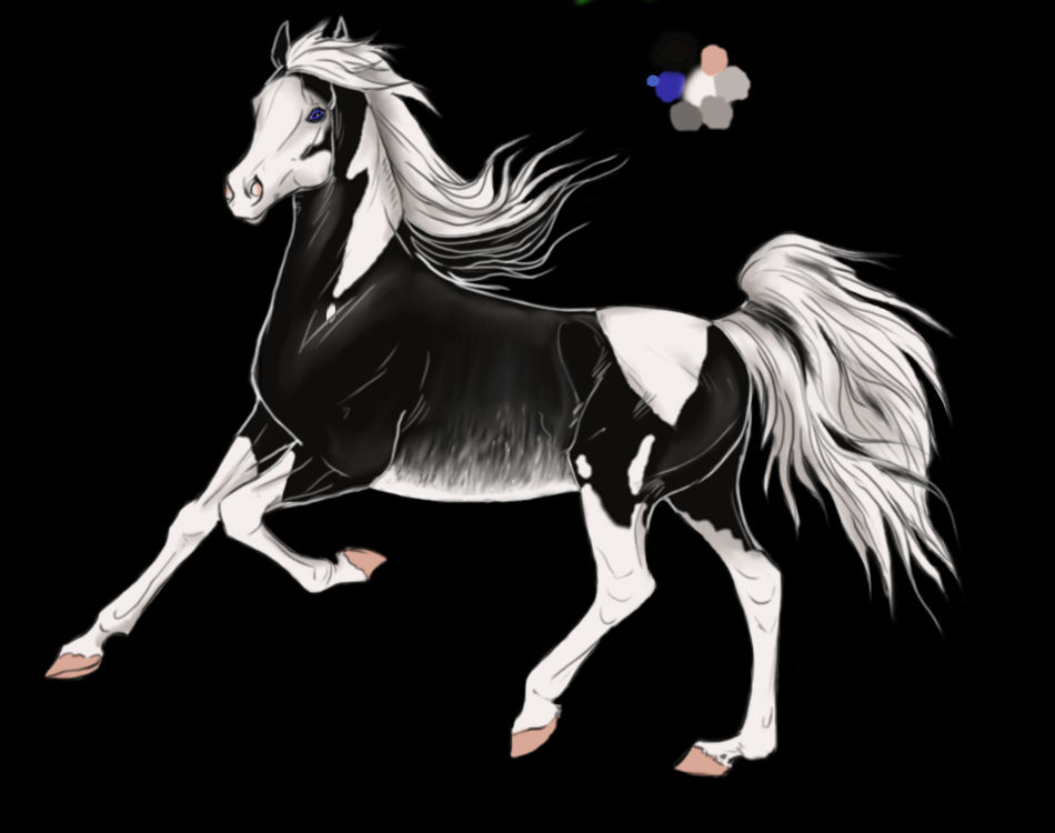 Smokey black Tobiano Sabino Rabicano Stallion by Nordtuin on DeviantArt