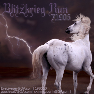 Blitskrieg Run ~ Avi Art Contest