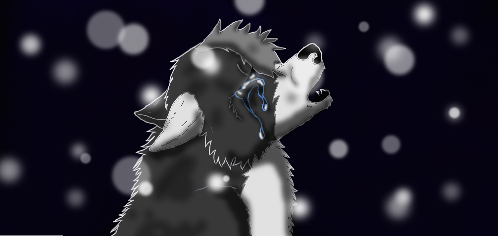 Sad Alpha Wolf Drawing