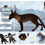 Briarpaw TSF ShadowClan