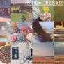 Home Baked Photoshop Actions