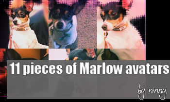 Marlow avatar pack