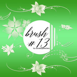 Brush # 13. BY::SIUB