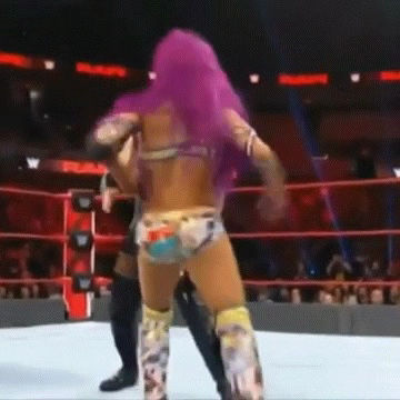 sasha banks botch