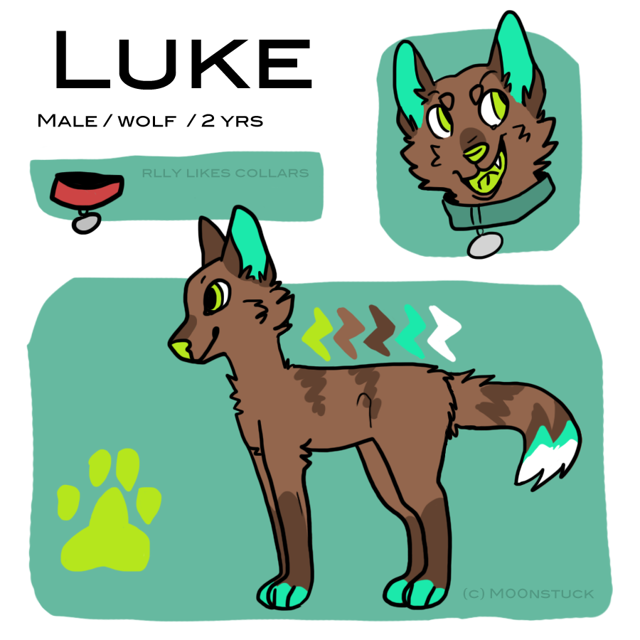 Luke Reference 2013 by m00nstuck on DeviantArt