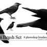 Raven Brush Set