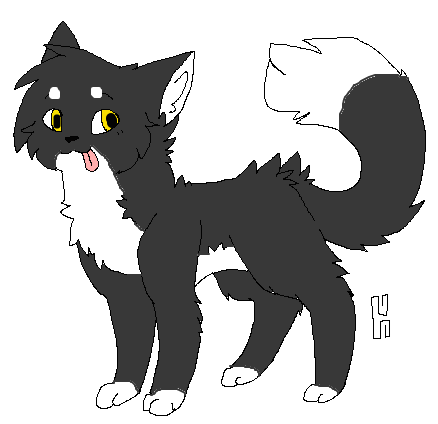Night the Cat by eaglemira4 on DeviantArt