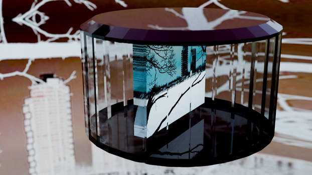 Capsule 6