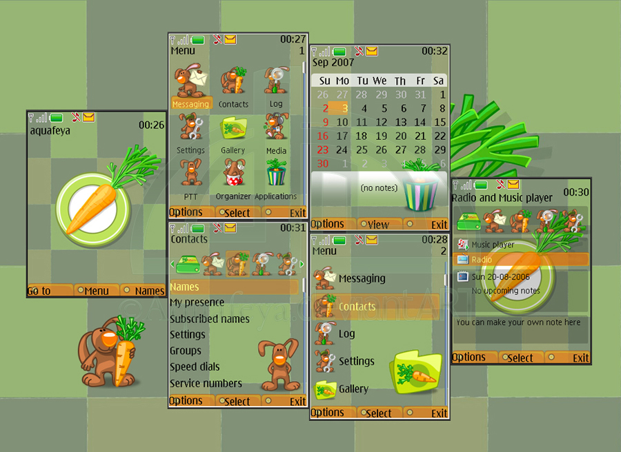 Carrot Nokia s40 Theme