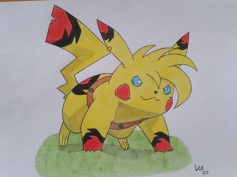 Chapter 18  Scorched Grass