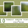 10 Forest Green Textures