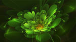 April Green Flower by Frankief