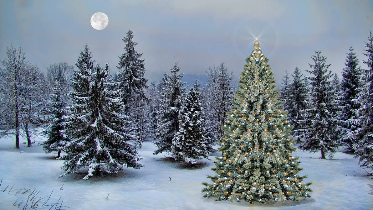 Christmas Tree 2013 by Frankief on DeviantArt