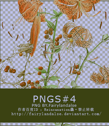 PNS-08