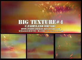 BIG-TEXTURE#4