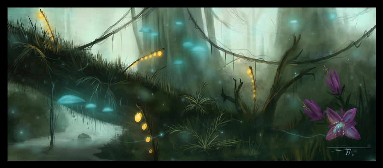 The Forest by TWPictures on DeviantArt
