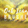 Painterly Background brush (Oak)