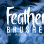 Feather Brushes For Photoshop