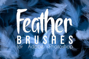 Feather Brushes For Photoshop