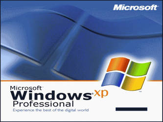 XP Professional