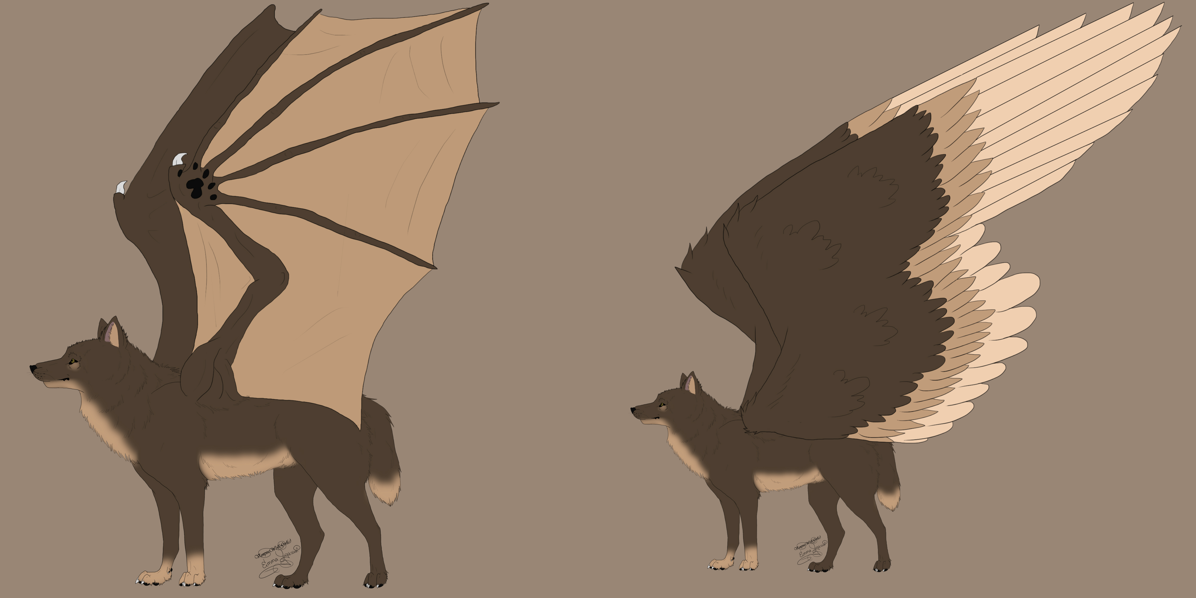 Free Winged Wolves Lineart:. by SillyTheWolf on DeviantArt