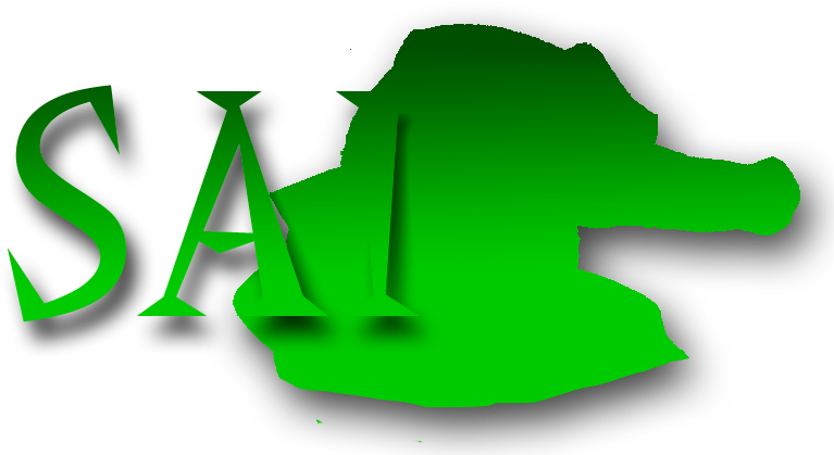 Vector The Crocodile Paint Tool Sai Desktop Icon By Wolfiisaur On Deviantart