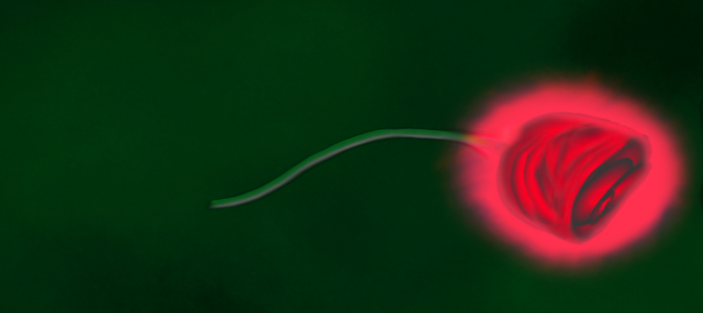 A single rose by NyanMayhem on DeviantArt
