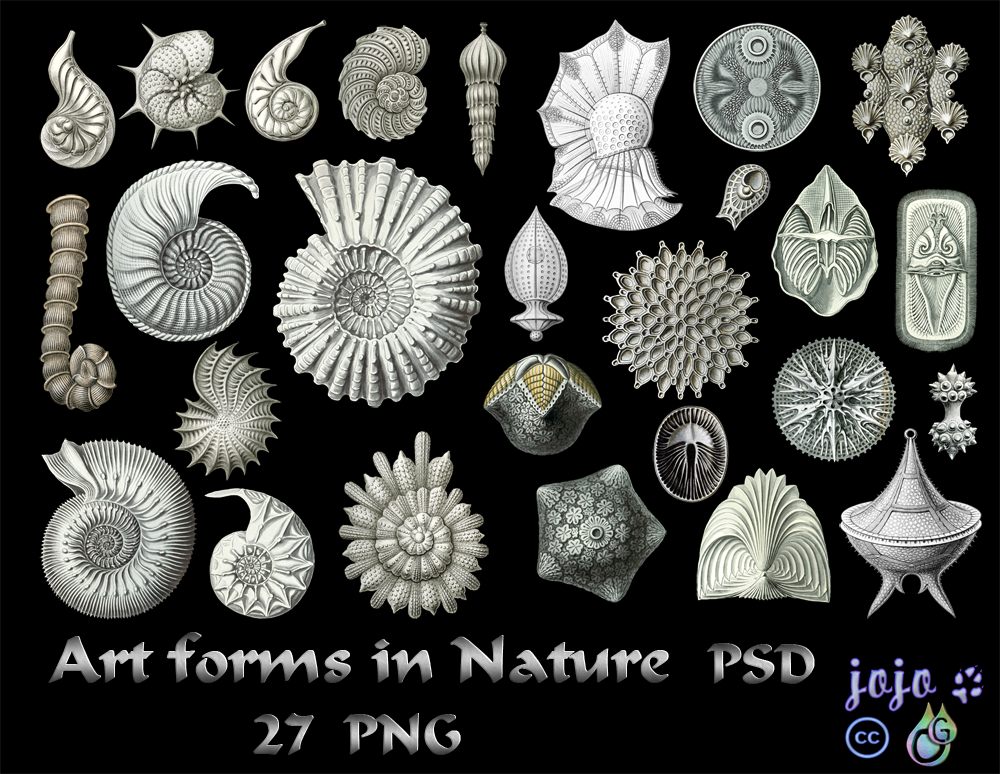 Art forms in Nature PSD