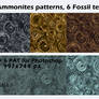 Ammonites patterns, 6 Fossil textures