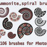 Ammonite, spiral brushes