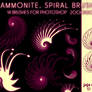 Ammonite, spiral brushes 1