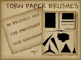 Torn paper brushes