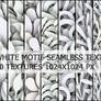 White motif seamless textures