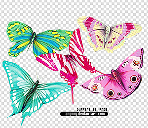 colorful butterflies pngs