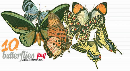 10 butterflies png