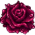 rose - free avatar
