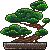 bonsai - free avatar